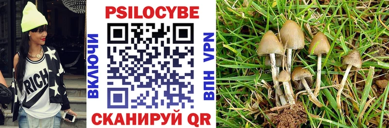 продажа наркотиков  Морозовск  Галлюциногенные грибы прущие грибы 