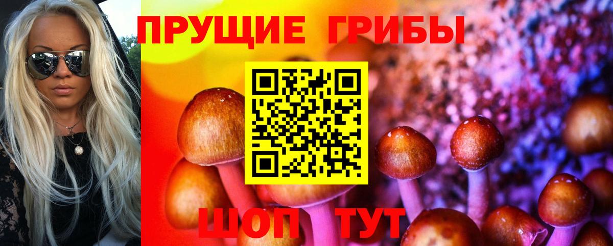 Морозовск  Галлюциногенные грибы ЛСД  даркнет сайт  Вход с VPN 